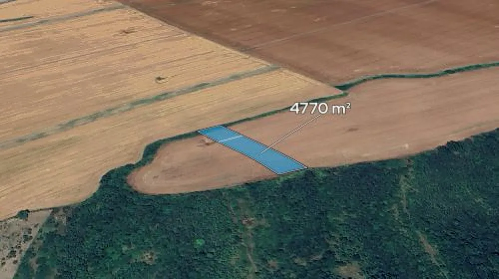 Prodej podílu 1/4 pole 1192 m²